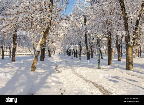 Winter fairy tale - Snow in Bitola city Park, Macedonia Stock Photo - Alamy