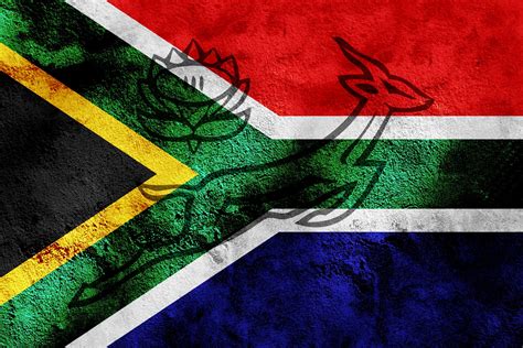 Degital art: South African 2011 rugby flag