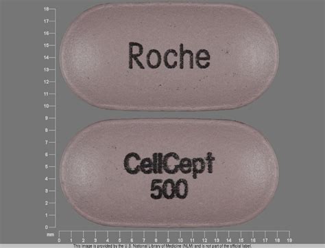 Cellcept (Mycophenolate Mofetil (Oral/Injection)) - Side Effects ...