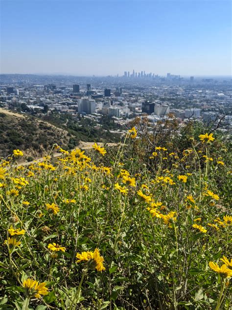 Runyon Canyon Trail - LA Hikes - A walk and a lark