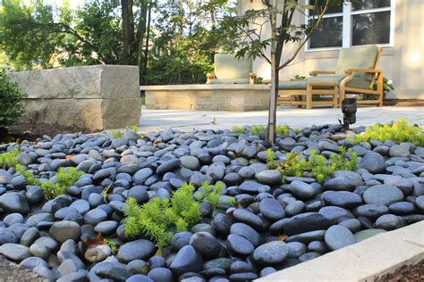 Modern Low-Water Garden: 5 Drought-Tolerant Landscaping Ideas – Compete ...