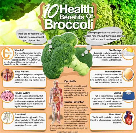 16 Amazing Health Benefits of Broccoli You Should Know | Broccoli ...