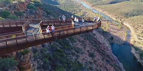 Project: Kalbarri Skywalk