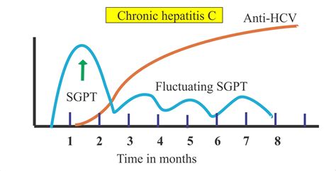 Hepatitis C Virus:- Part 2 – Anti- HCV Screening – Labpedia.net