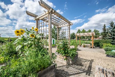 28 Trellis Ideas To Inspire Your Next Garden Project