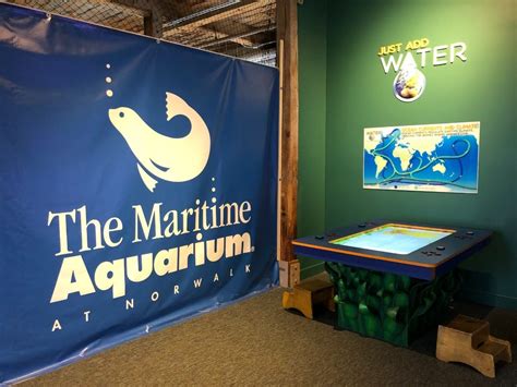 Maritime Aquarium Invites Scouts To Learn About the Environment | Norwalk, CT Patch