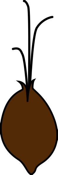 Seed Sprouting Clip Art at Clker.com - vector clip art online, royalty ...