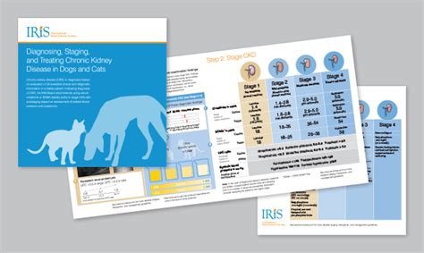 The International Renal Interest Society adds the IDEXX SDMA Test to ...