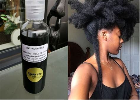 PREMIUM CHEBE OIL for Extreme Hair Growth (Mixed with Chebe Powder) *100ML* in 2021 | Extreme ...