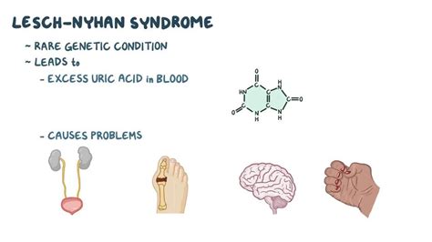 Video: Lesch-Nyhan syndrome