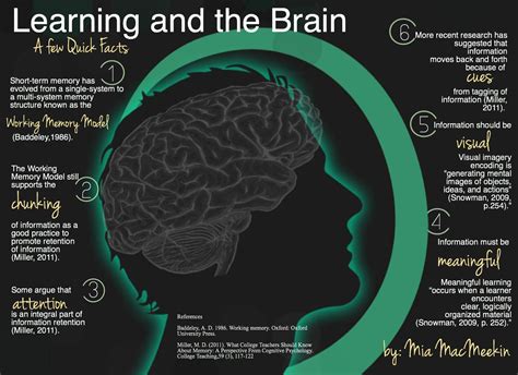 Learning and the Brain- A few quick facts | Brain based learning, Brain ...