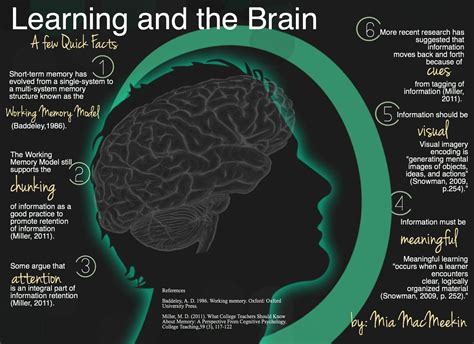 Learning and the Brain- A few quick facts | Brain based learning, Brain learning, Whole brain ...