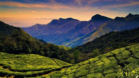 Cumbum, a Unique Destination Tucked Away from Thekkady - Tripoto