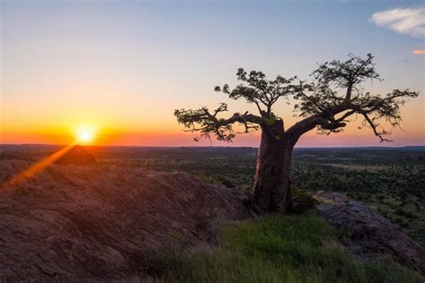 Limpopo | Greatstay Travel