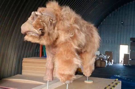 Pileta de Prehistoria: Extinct Woolly Rhino 'Sasha' Reconstructed in Russia's Siberia