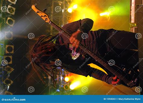 Bass guitar solo stock image. Image of concert, music - 1594043