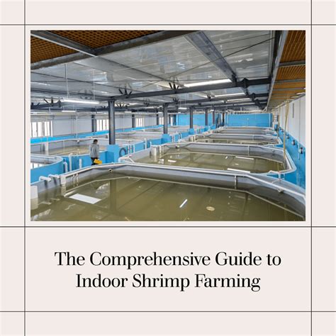 The Comprehensive Guide to Indoor Shrimp Farming - PANGOO