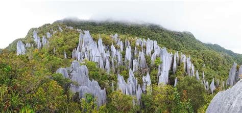 Gunung Mulu National Park, Sarawak