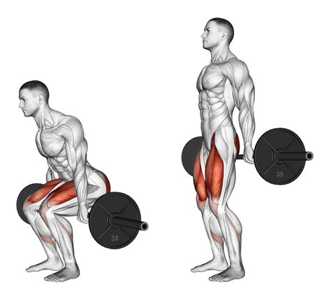 Barbell Hack Squat: 4 Major Benefits and Muscles Worked - Inspire US