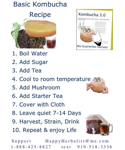 Kombucha Brewing Guide – Explore How to Fermentation Online