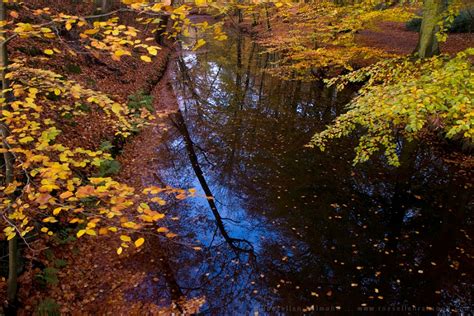 28. Autumn Reflections – Roeselien Raimond Nature Photography