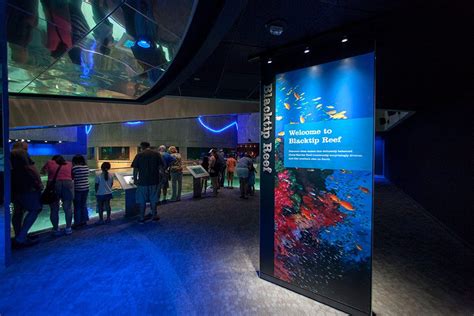 National Aquarium in Baltimore Exhibit Design | CambridgeSeven