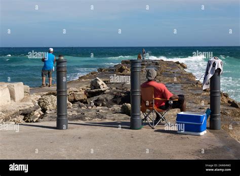 Storm damage remains evident 15 years after Hurricane Frances ...