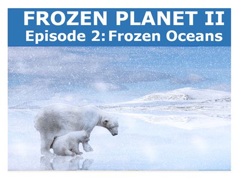 Frozen Planet 2 | Teaching Resources