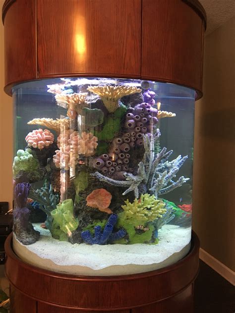 Fish Home, Fish Tank, Saltwater, Terrarium, Canning, Reference, Hope ...