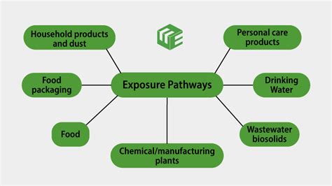 PFAS Exposure Pathways | ELG Law