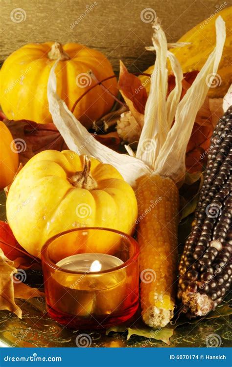 Autumn still-life stock photo. Image of decoration, corn - 6070174