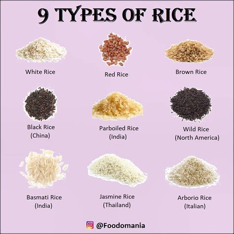 Types Of Rice: Varieties, Textures, Colors Shapes, 51% OFF