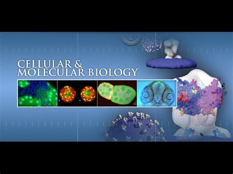 Molecular and Cellular Biology Lecture: #1 - YouTube