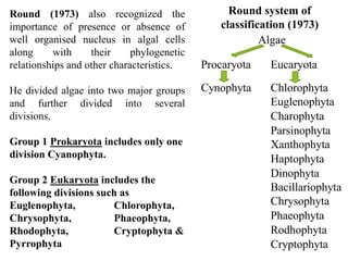 Algae Classification.pptx