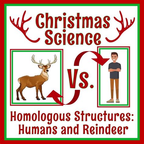 Christmas Science Activity Reindeer Adaptations Homologous Structures ...