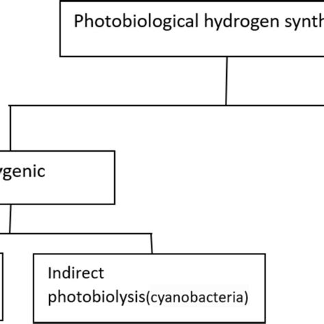 Advantages and disadvantages of biohydrogen synthesis Methods ...