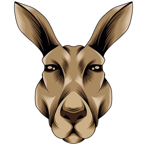 Kangaroo vector illustration 23368351 Vector Art at Vecteezy