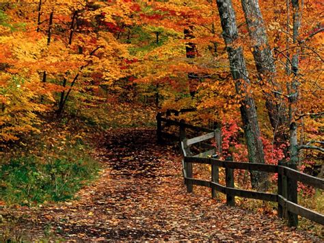 Autumn Scenes New England | Beautiful Scenery Photography