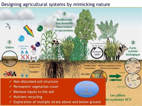 The Agroecology landscape