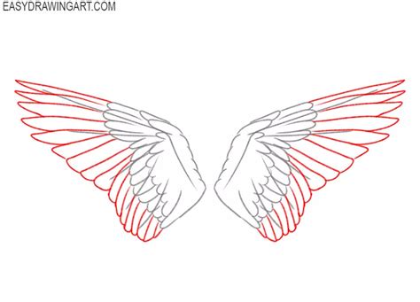 How to Draw Bird Wings - Easy Drawing Art