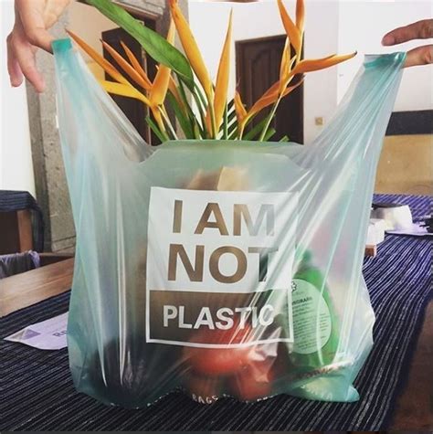 This plastic bag is 100% biodegradable | World Economic Forum