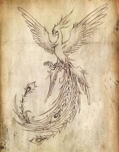 Phoenix Bird Sketch at PaintingValley.com | Explore collection of ...