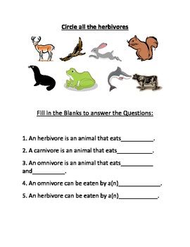 Carnivore, Herbivore, Omnivore Worksheet by Bryan | TpT