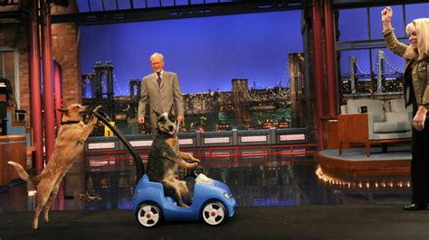 Stupid Pet Tricks: How Letterman’s Failed Morning Show Launched His Longest-Running Gag