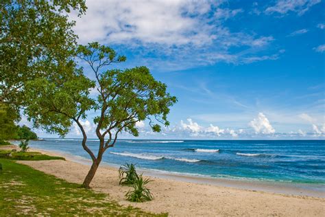 File:Eratap, Efate, Vanuatu, 13 April 2008.jpg - Wikipedia