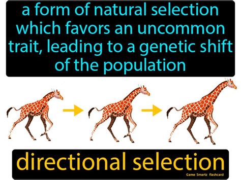 Directional Selection - Easy Science | Easy science, The selection ...