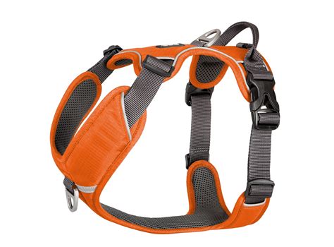 DOG Copenhagen Comfort Walk Pro Harness - various colours - Podgy Paws