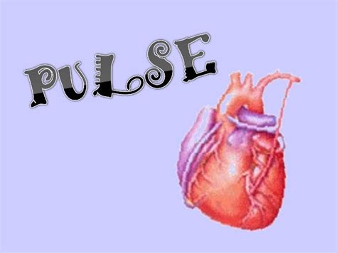 Pulse