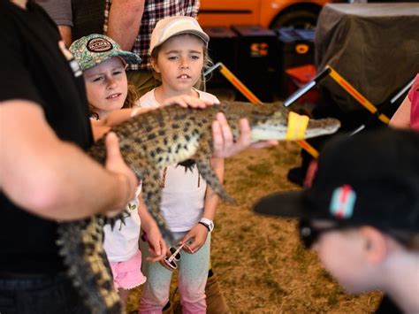 Exotic Animals Banned From Montgomery County Fair In Gaithersburg ...