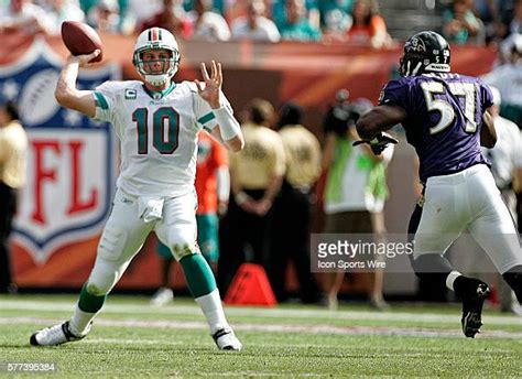 Chad Pennington Dolphins Photos and Premium High Res Pictures - Getty ...